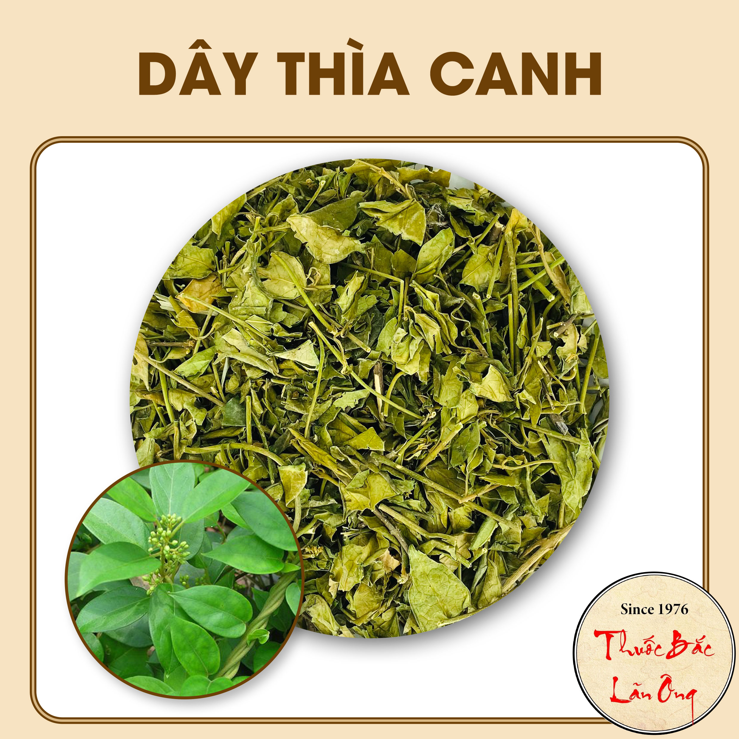 100g dây thìa canh hàng loại 1
