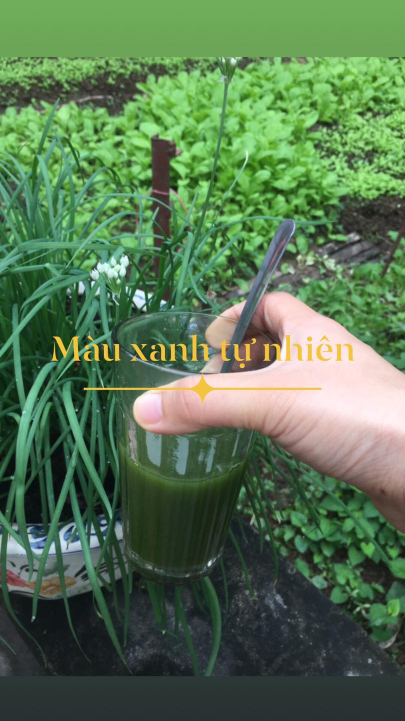 BỘT CẦN TÂY SẤY LẠNH GIẢM CÂN