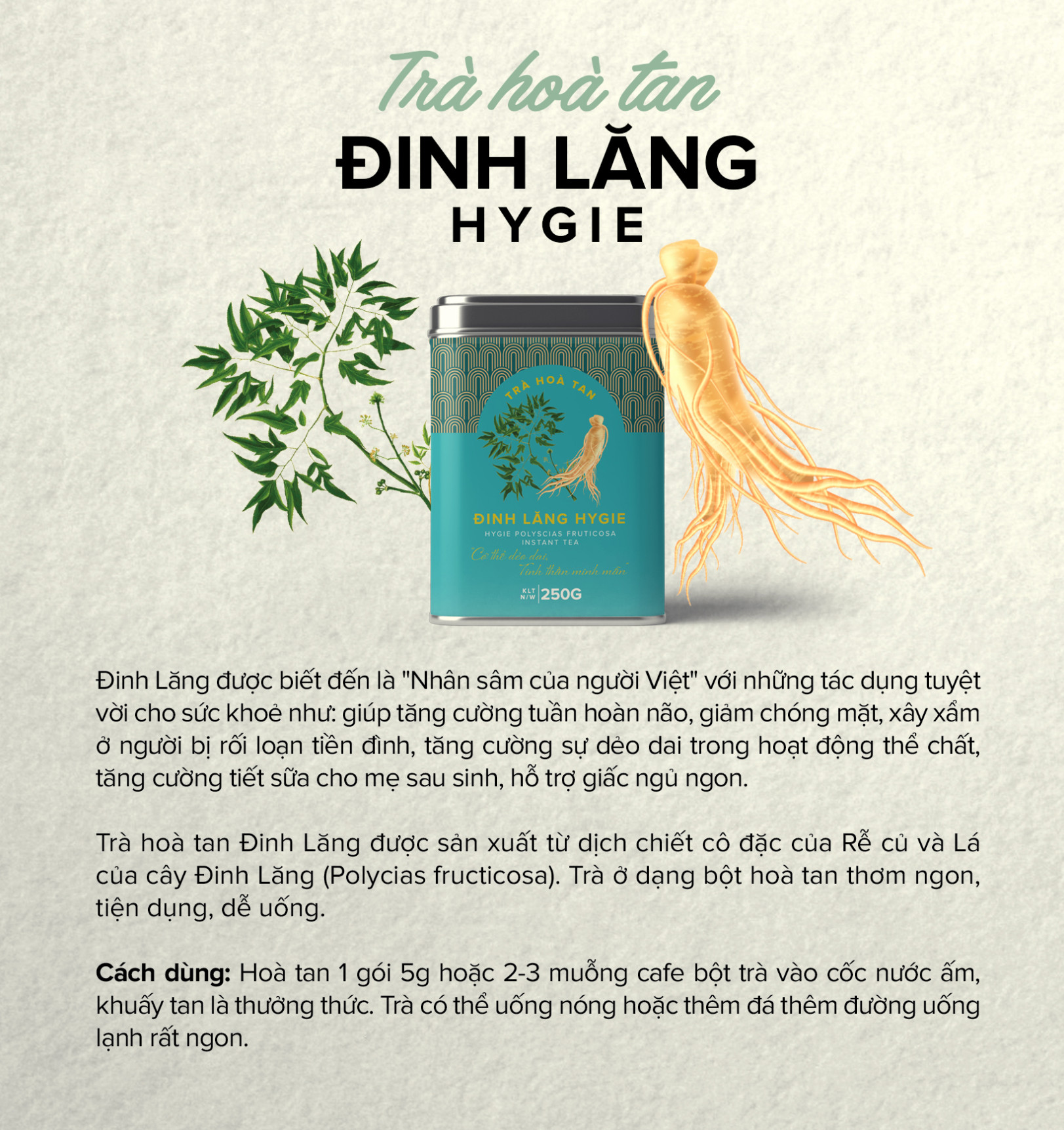Dược trà hòa tan Đinh lăng Hygie&Panacee