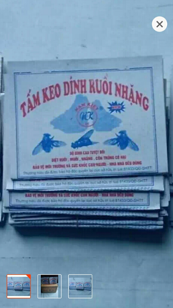 [50 MIẾNG] Combo 50 miếng keo dính ruồi siêu dính (miếng bẫy ruồi)