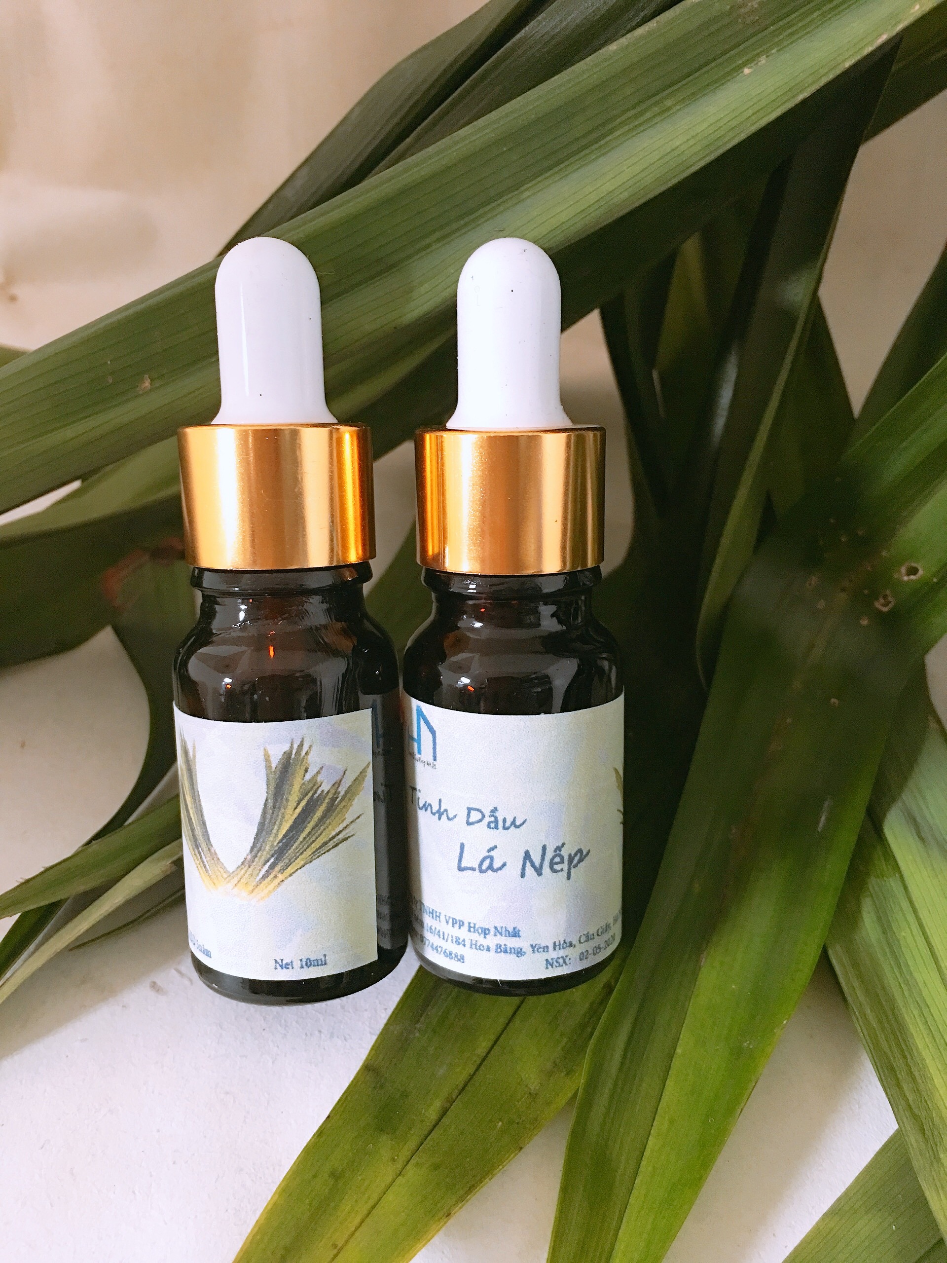 Combo 02 Lọ tinh dầu lá Nếp 10ml