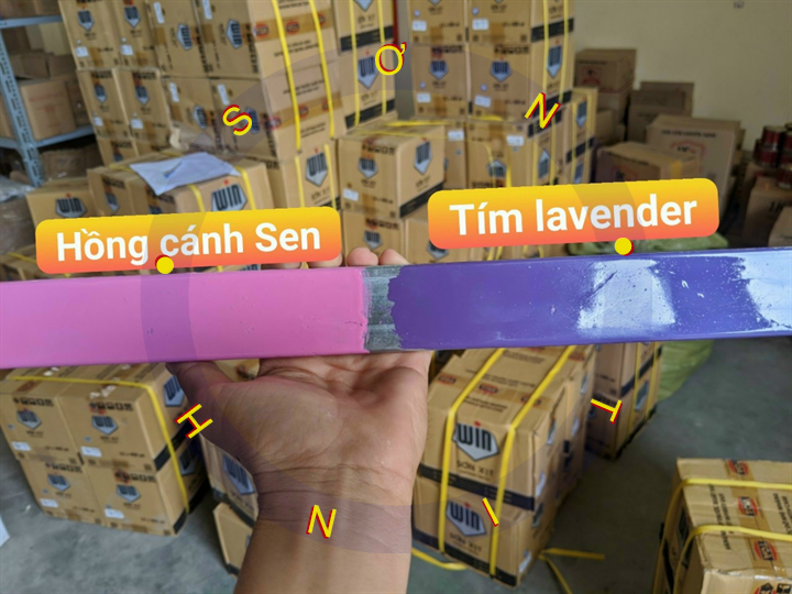 Sơn sắt mạ Kẽm Màu TÍM 1k Dolphin 400g, 800g