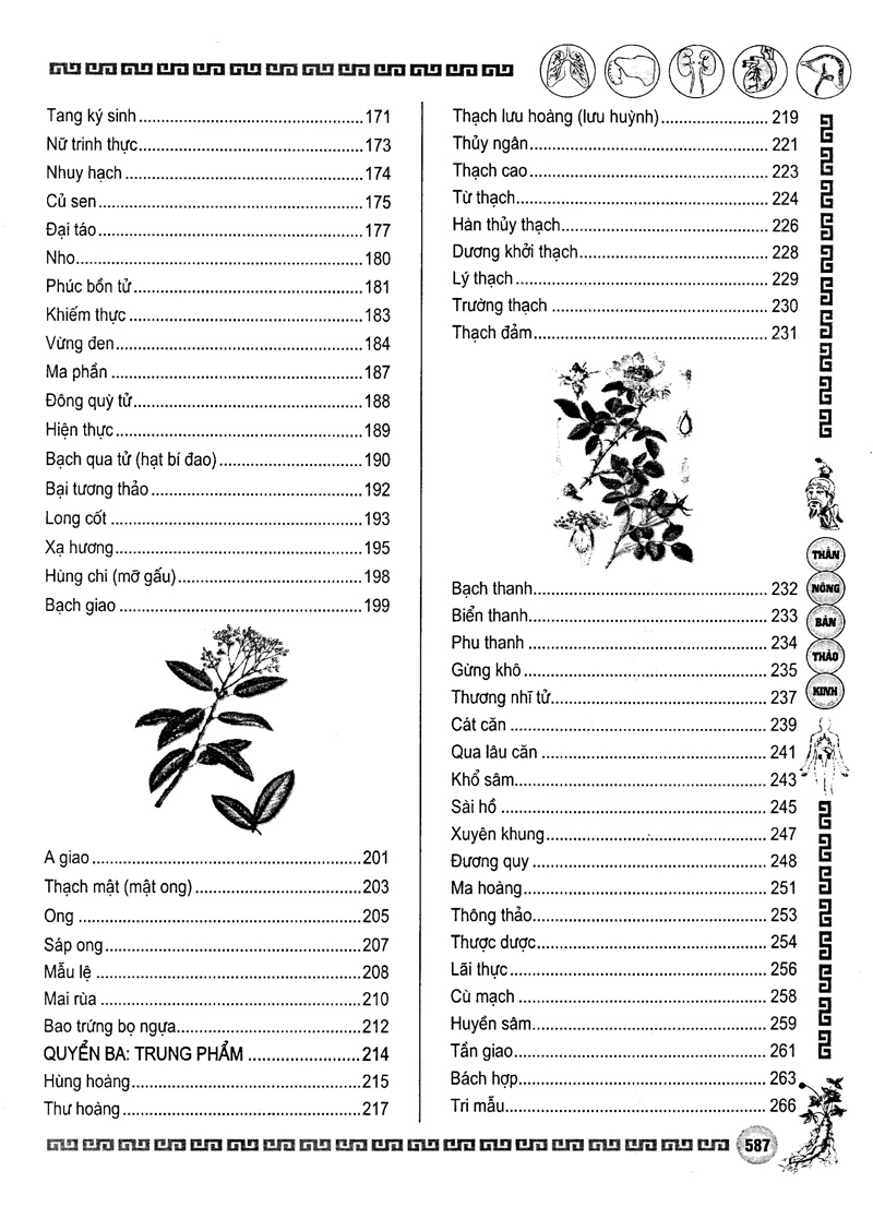 Sách Thần Nông Bản Thảo Kinh