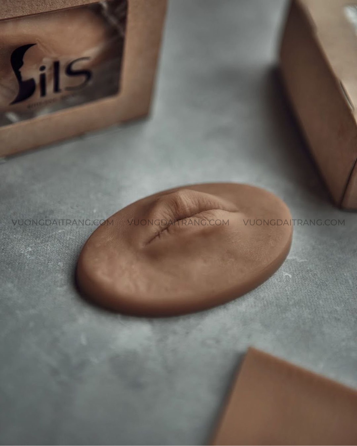 Da giả Silicon 3D LIPS