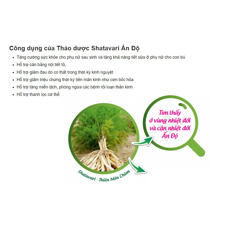 Himalaya shatavari - Hàng nội địa Ấn Độ