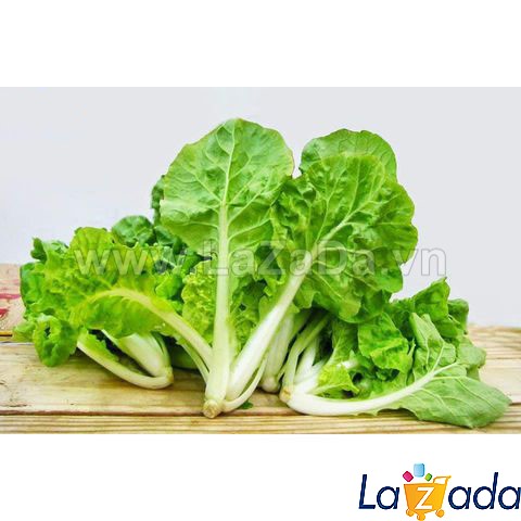 1kg hạt giống cải bẹ dún