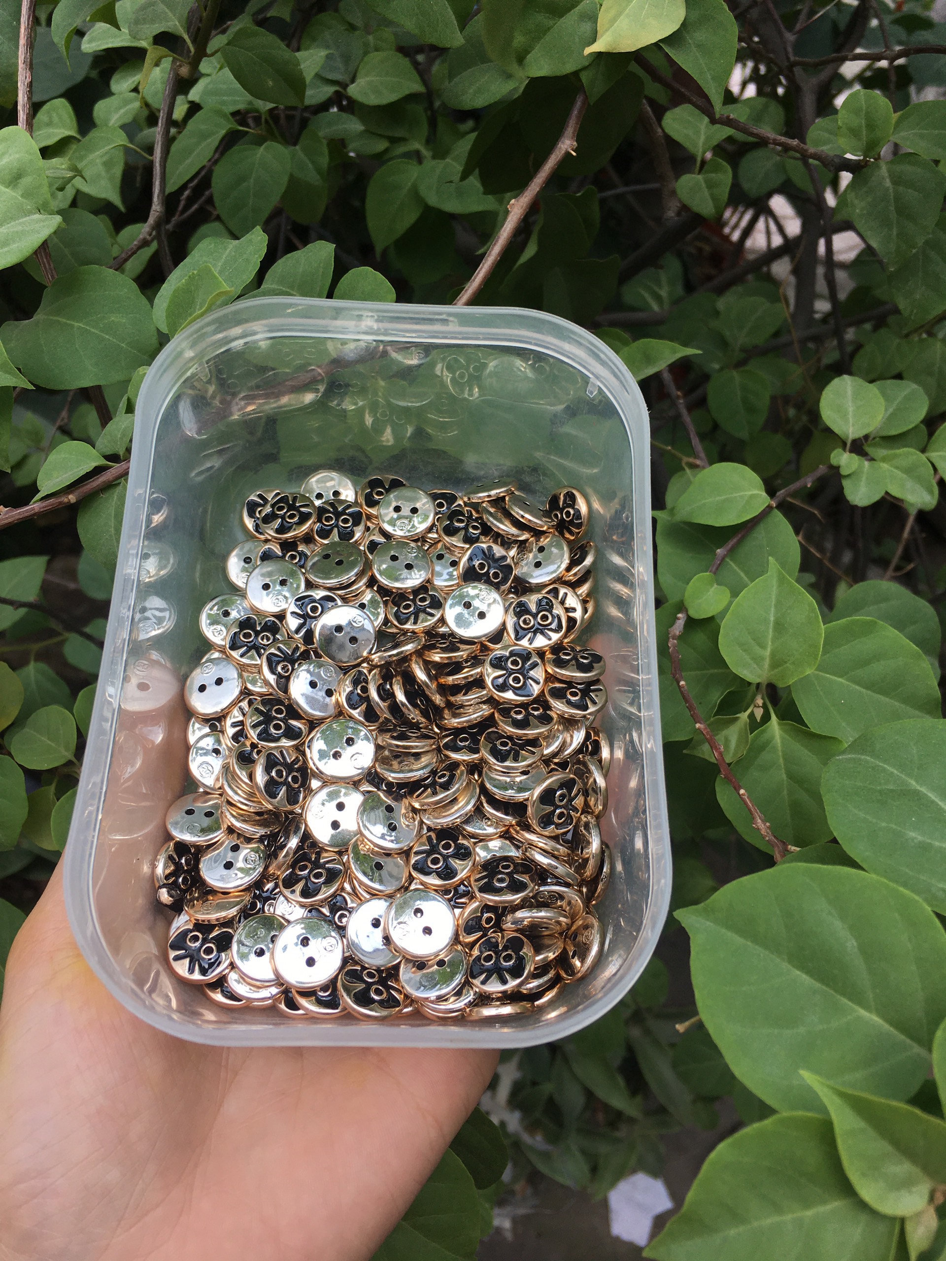 100 nut nhựa hình con bướm