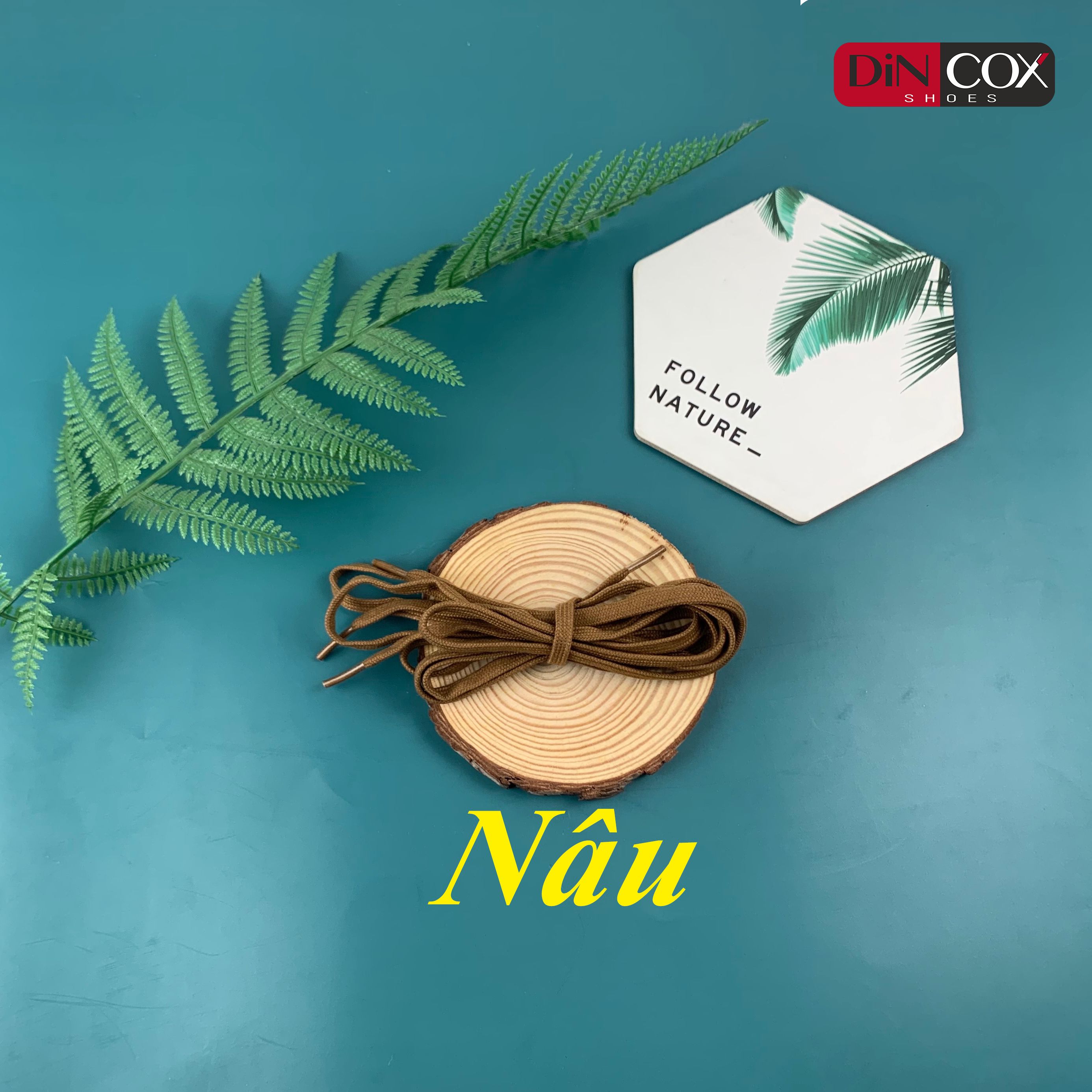 Dây Giày Sneaker Nam Nữ Chính Hãng DINCOX