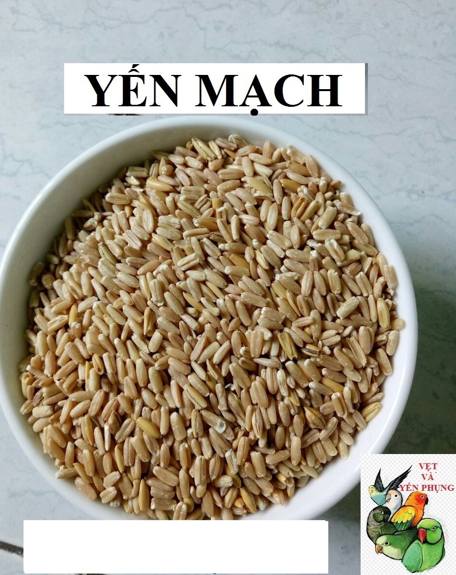500GRAM HẠT YẾN MẠCH BÓC VỎ CHO CHIM,VẸT,THÚ CƯNG.