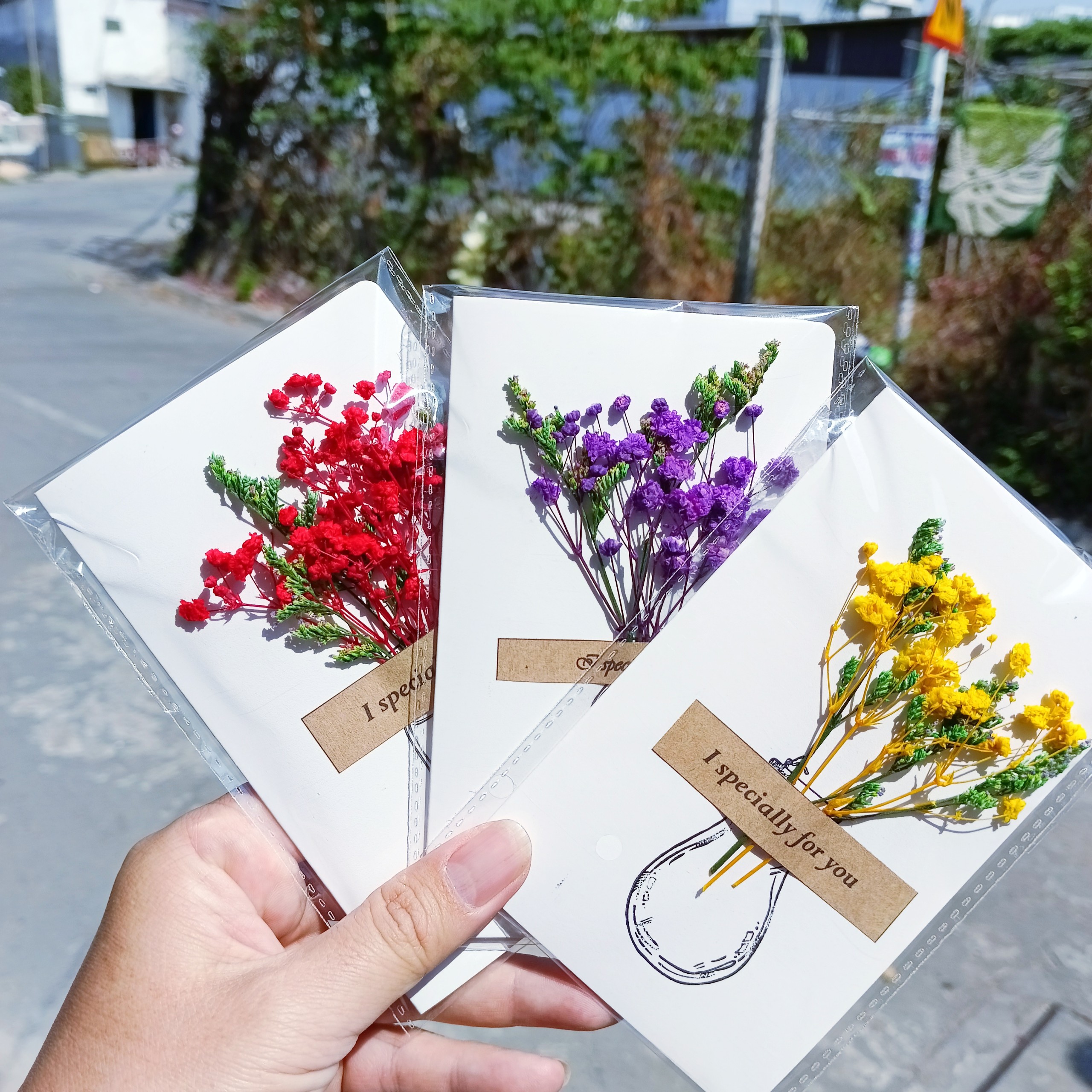thiệp hoa khô - hoa babi - cẩm tú cầu