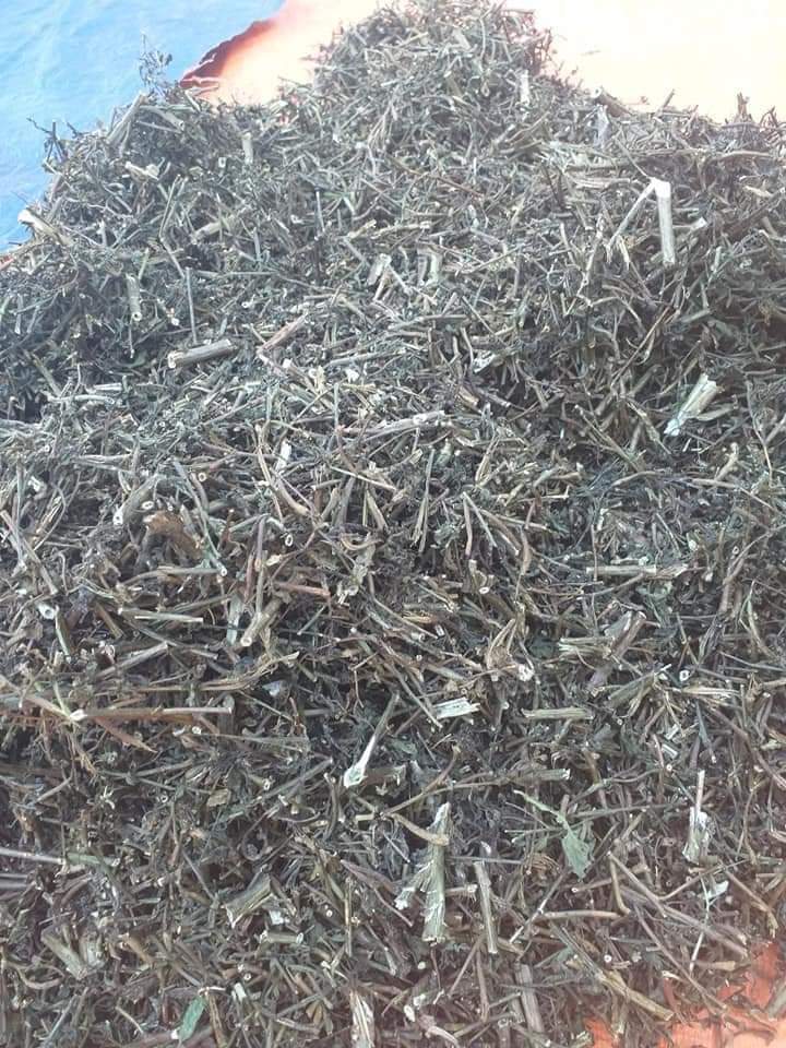 (Dược liệu khô) Cây Rau Mương phơi khô 500g