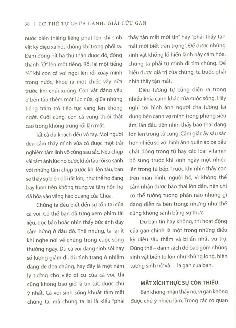 Cơ Thể Tự Chữa Lành - Giải Cứu Gan