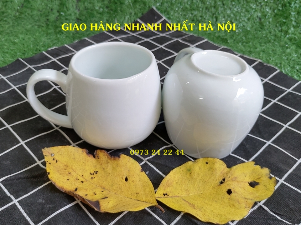 LY SỨ UỐNG TRÀ CỐC SỨ UỐNG NƯỚC