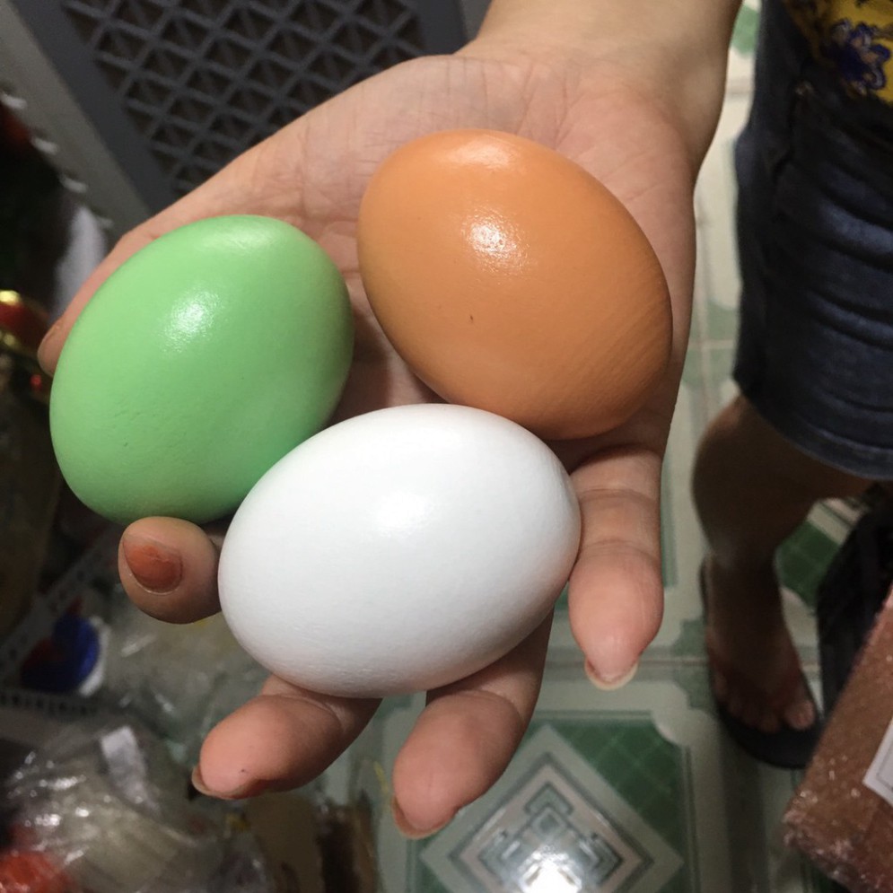 Đồ Chơi Mô Hình Quả Trứng Giả Bằng Nhựa Giống Như Trứng Thật Dùng Làm Mô  Hình Ổ Trứng Gà Hoặc Tô Vẽ Trứng Nghệ Thuật - Mixasale