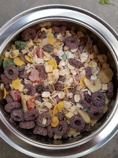 [ Có Sẵn, 1,08kg ] Ngũ Cốc mix hạt, hoa quả Mixed Nuts Oatmeal