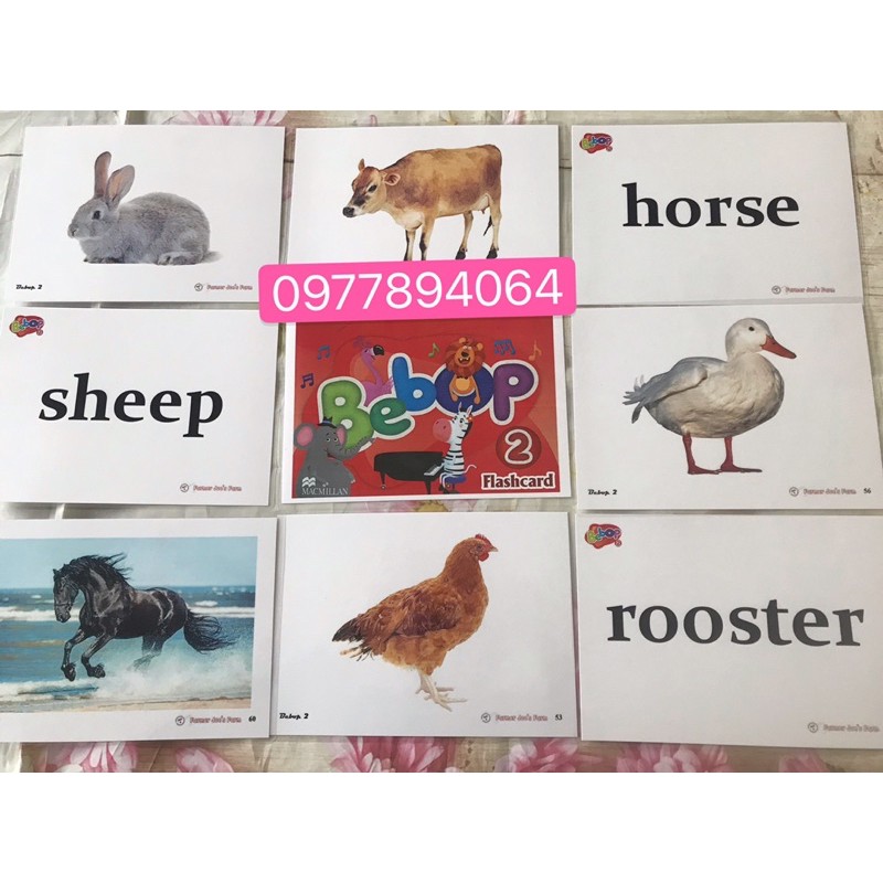 Flashcards Bebop 2 -size A5-2 mặt ép plastics- 87 thẻ