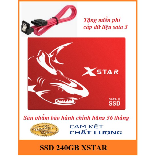 Ổ cứng SSD 240GB Xstar mới full box