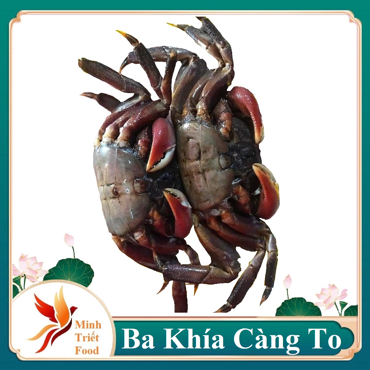 500gr mắm ba khía nguyên con đặc sản bạc liêu