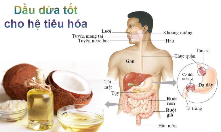 [Combo5 Mua 5 tang 1] Tinh Dầu Dừa Nguyên Chất Bến Tre