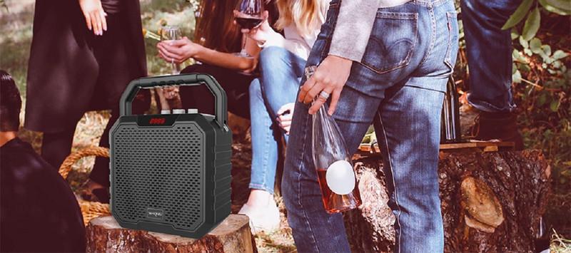 Loa bluetooth không dây karaoke 30W W-King K2