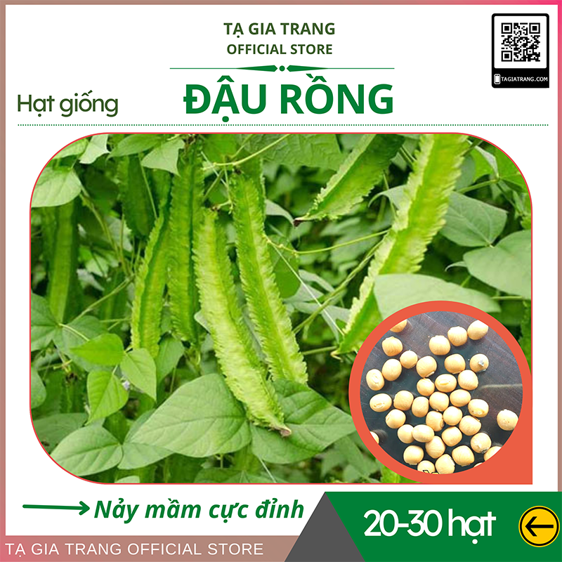 Hạt giống đậu rồng (đậu khế) _Shop hạt giống Tạ Gia Trang
