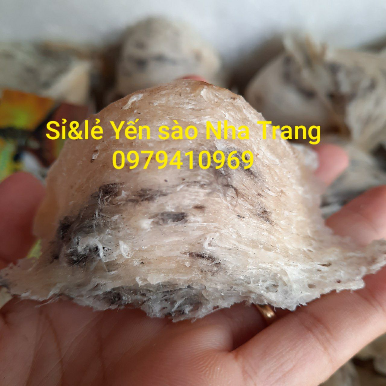 yến sào thô tổ sạch đẹp (1 lạng) 🎁 đồ chưng