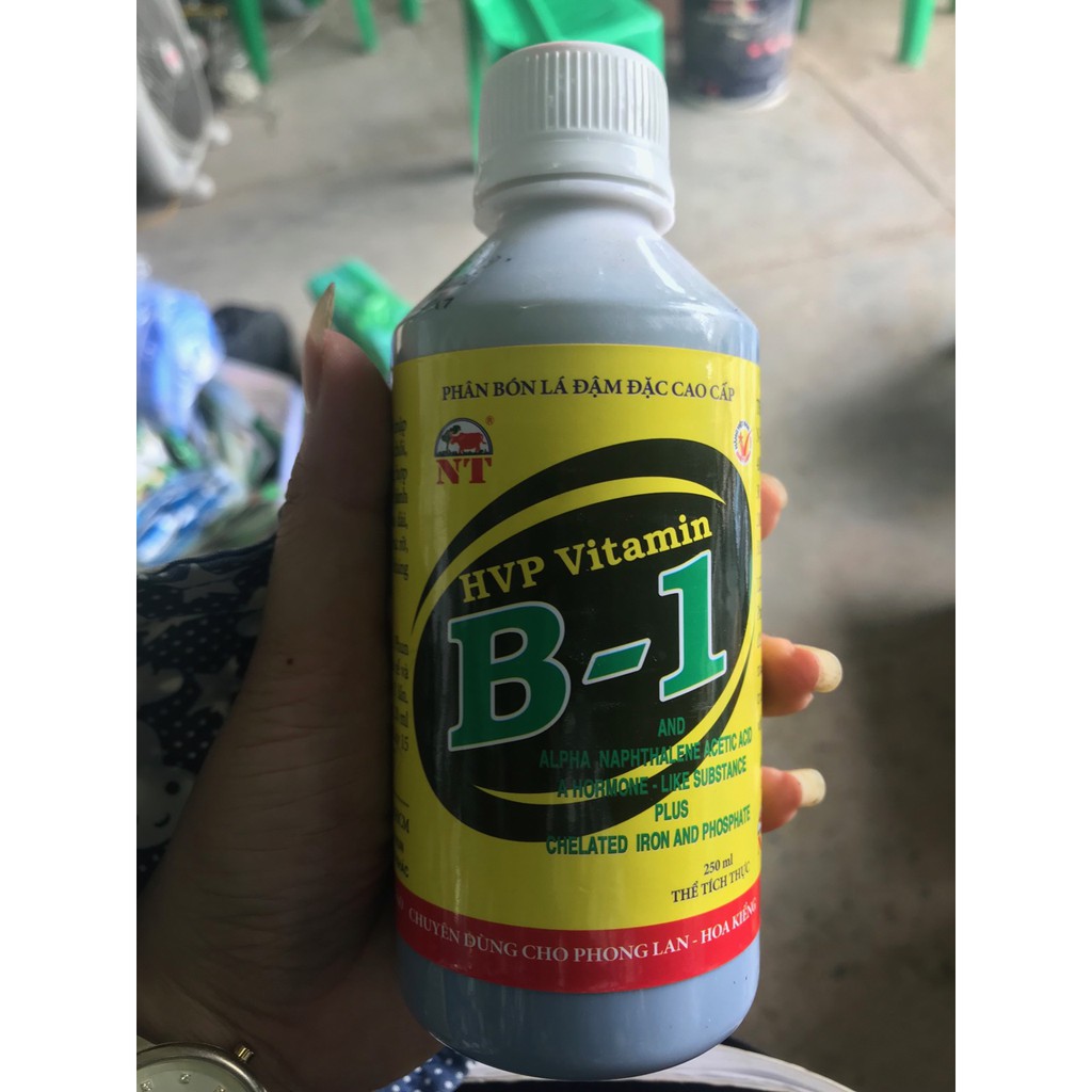Vitamin B1 chuyên kích ra rễ và hoa cho cây cảnh và phong lan HVP