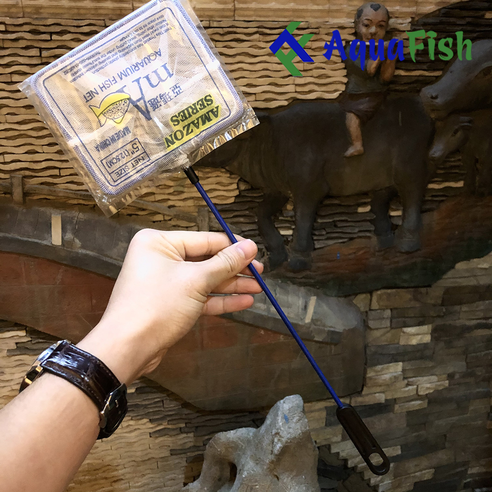 Tennis square catch small fish for Fish Tank indoor (size the racket from 4in đến 10in)