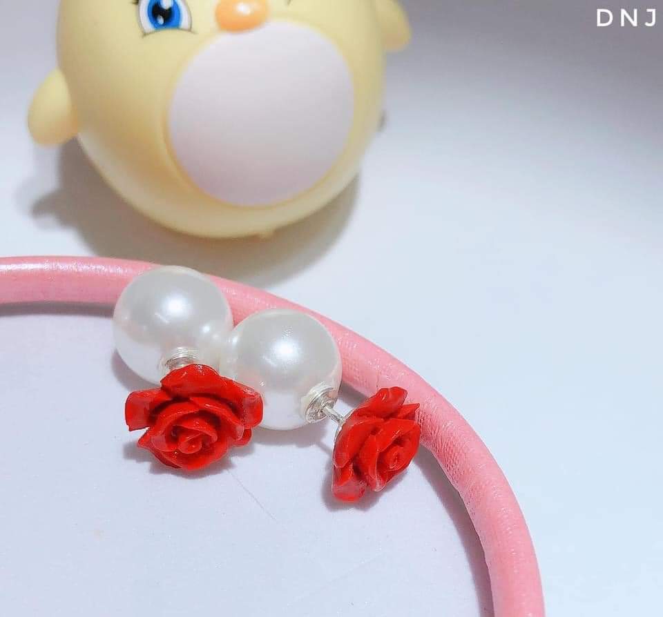 Bông tai BẠC TA dior mẫu mới sang chảnh- TRANG SỨC BẠC VÀ TRAI gian hàng chính hãng cam kết bạc chuẩn, chất lượng không lo đen xỉn