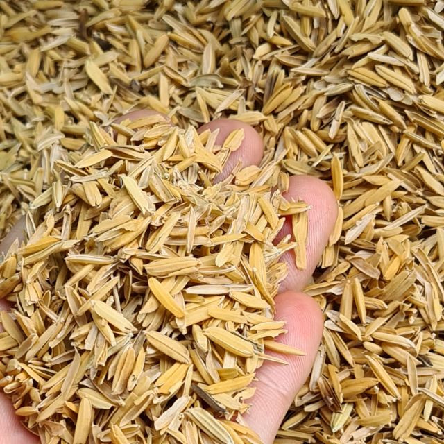 Trấu tươi (gói 2 dm3) - CayGiongTot