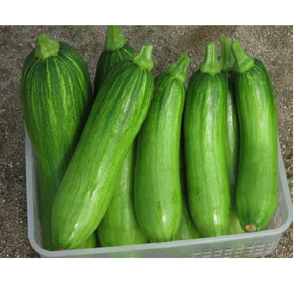 Gói 10 hạt giống bí vua Hàn Quốc - hạt giống F1 Hàn Quốc