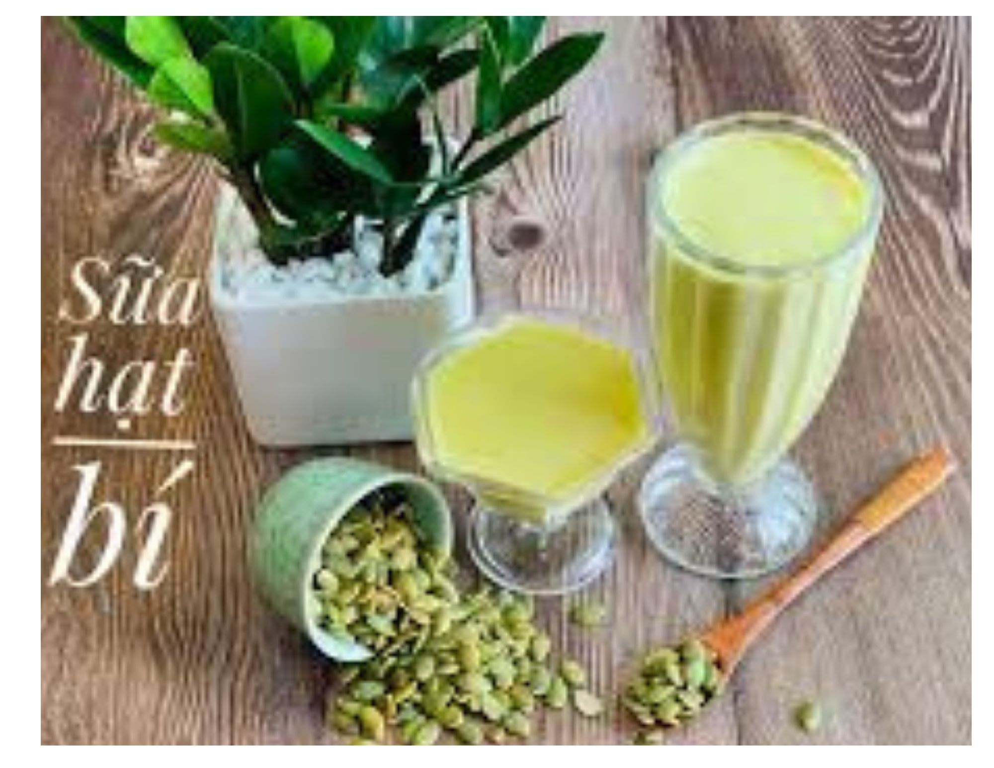 Pumpkin seed kernel green dried raw taste import ấn Độ 500gr