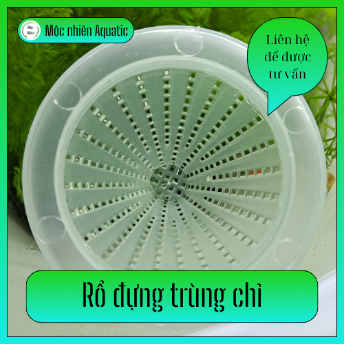 Rổ đựng trùng chỉ - Mộc Nhiên Aquatic
