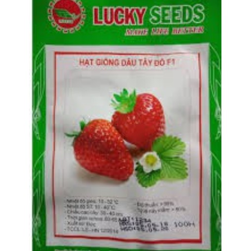 Hạt Giống Dâu Tây Lucky Gói 100 Hạt