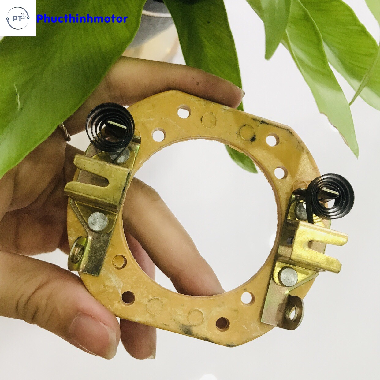 Giá đỡ và chổi than motor