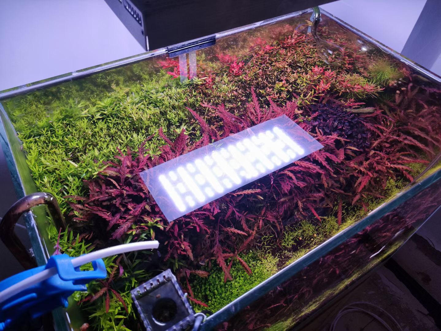 [HCM]Đèn Led Thủy Sinh WRGBU SkyLed tank
