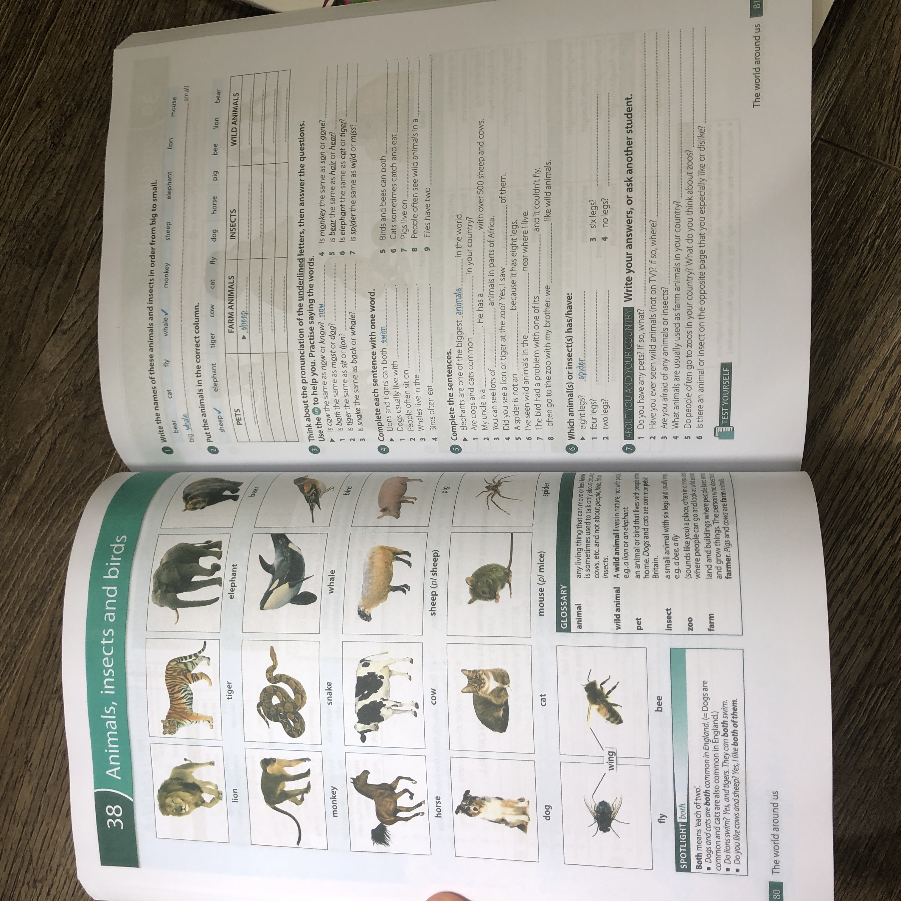 Sách Oxford Word Skills 2nd edition