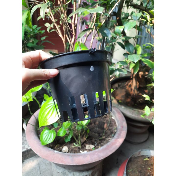 Chậu nhựa đen trồng lan, cây cảnh đủ size