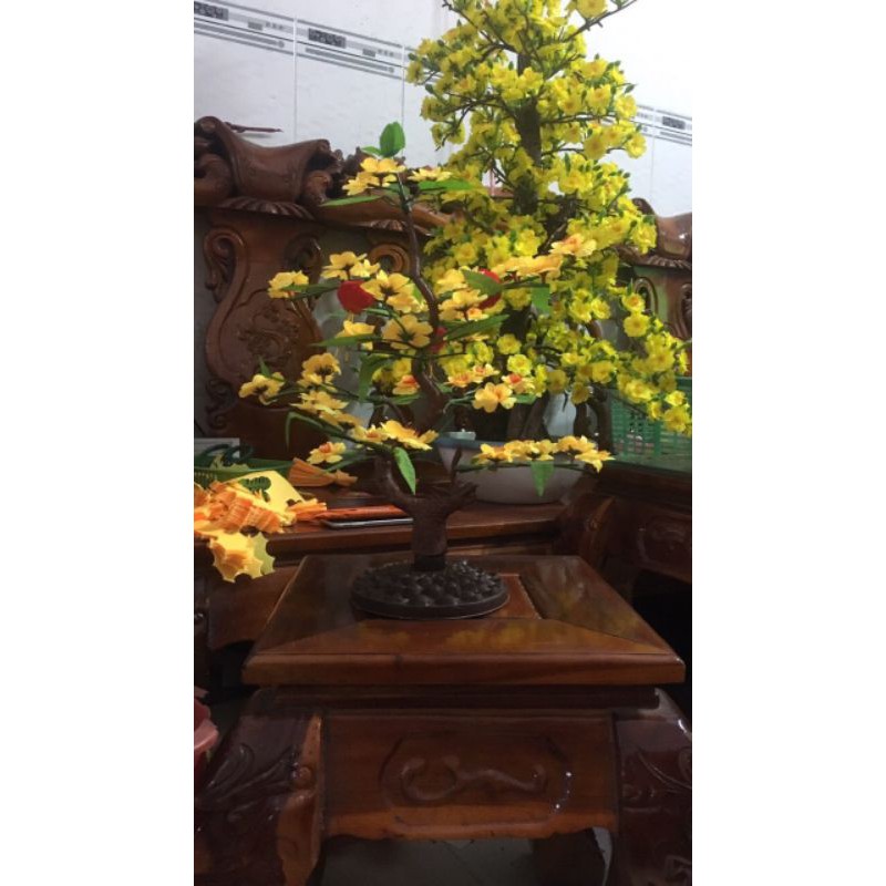 [HCM]cây hoa Mai chiều dài 40cm