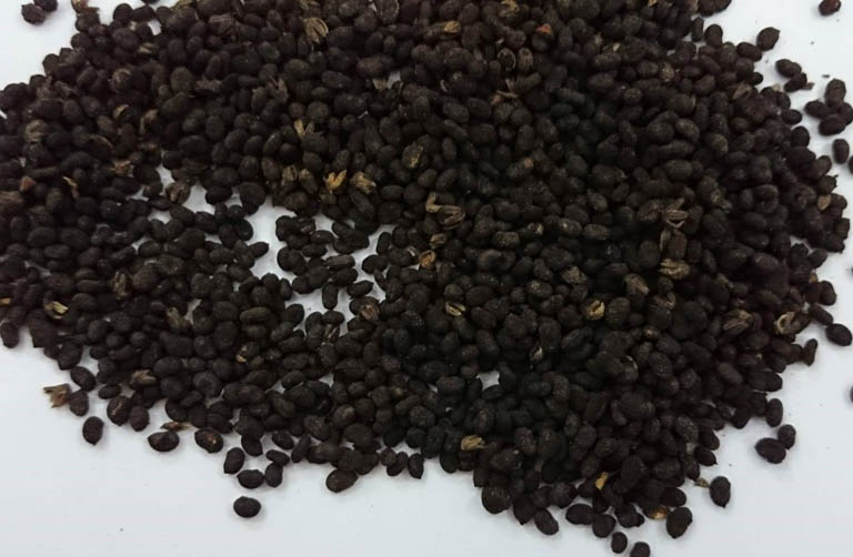 Phá Cố Chỉ [500g] - Cam kết hàng chuẩn loại 1