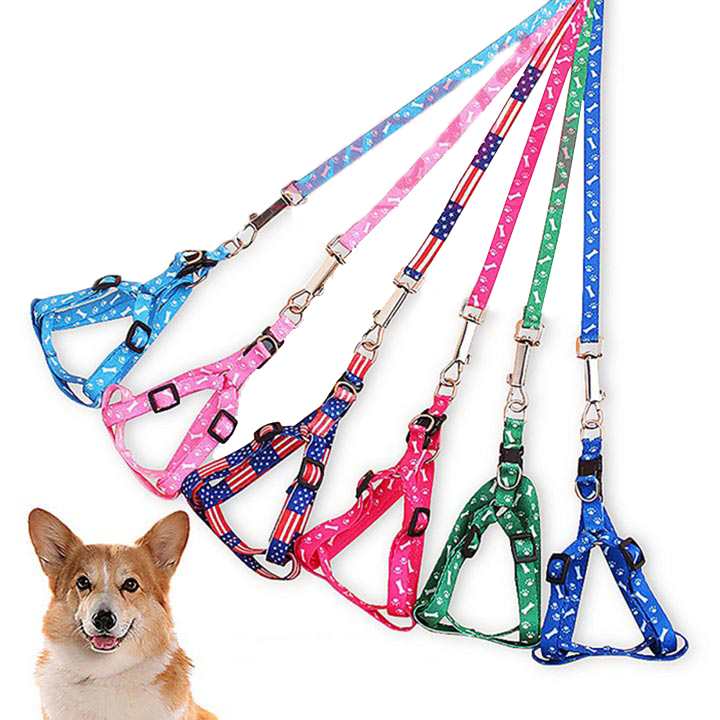 Dây dắt 1 lớp 1cm dành cho thú cưng dưới 5kg - Cutepets
