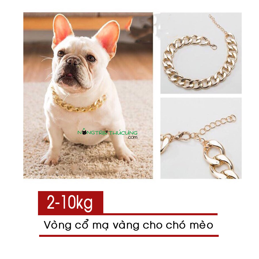 Vòng cổ xích mạ vàng cho chó mèo dưới 10kg - [Nông Trại Thú Cưng]