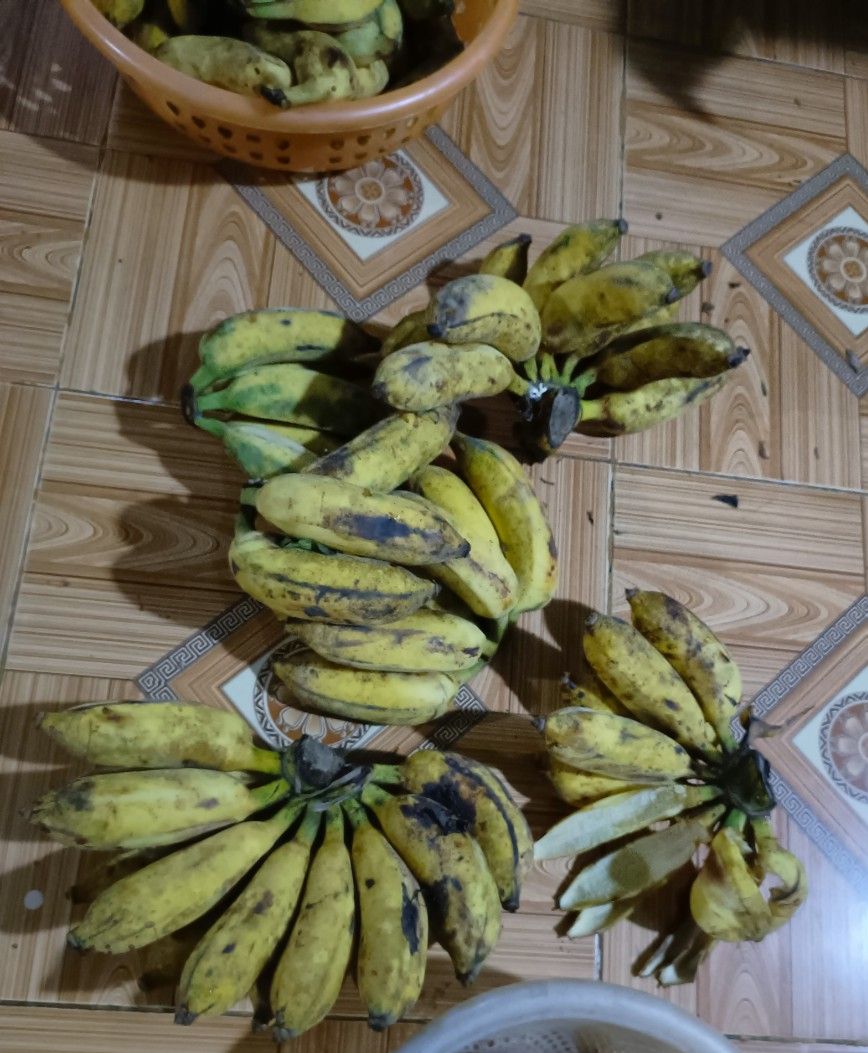 Chuối sấy dẻo không đường - túi 1kg