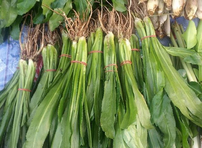 hạt giống ngò gai