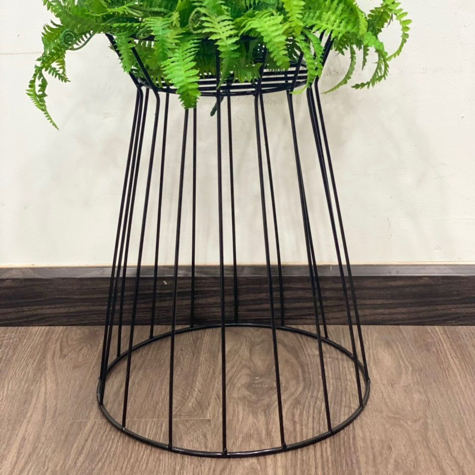 Đôn Kim Cương cao 40cm