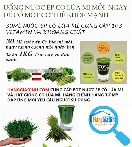 ( 500gr) Bột cỏ lúa mì 100% nguyên chất