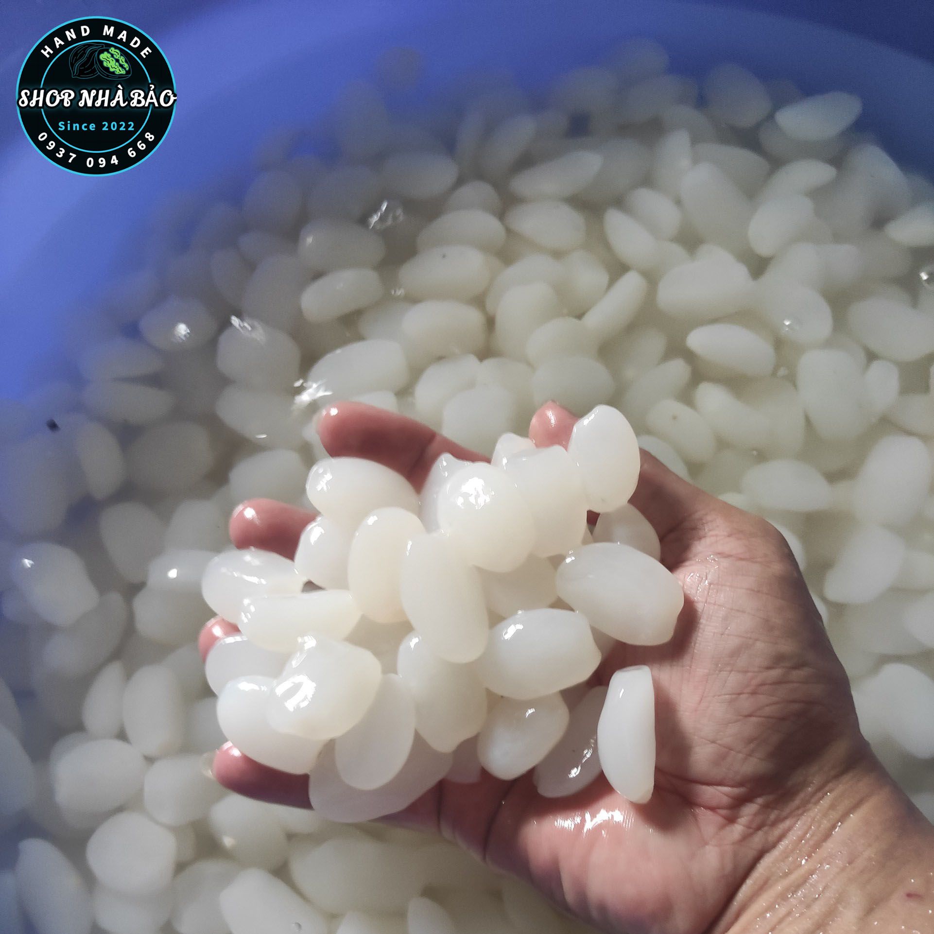 Hạt đác tươi hạt trung túi 1kg-10kg freeship