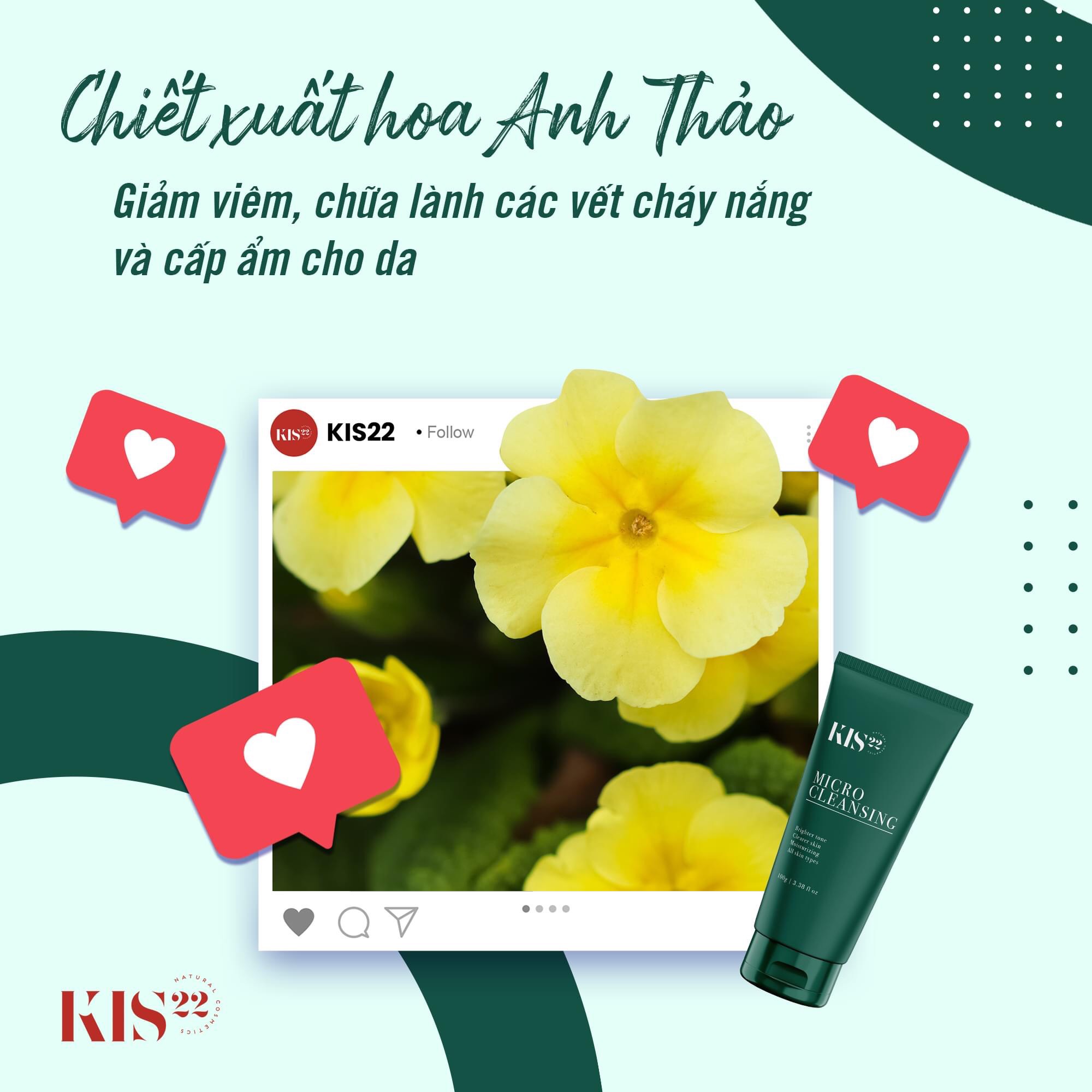 (BUÔN SỈ) SỮA RỬA MẶT THẢO MỘC MICRO CLEANSING KIS22