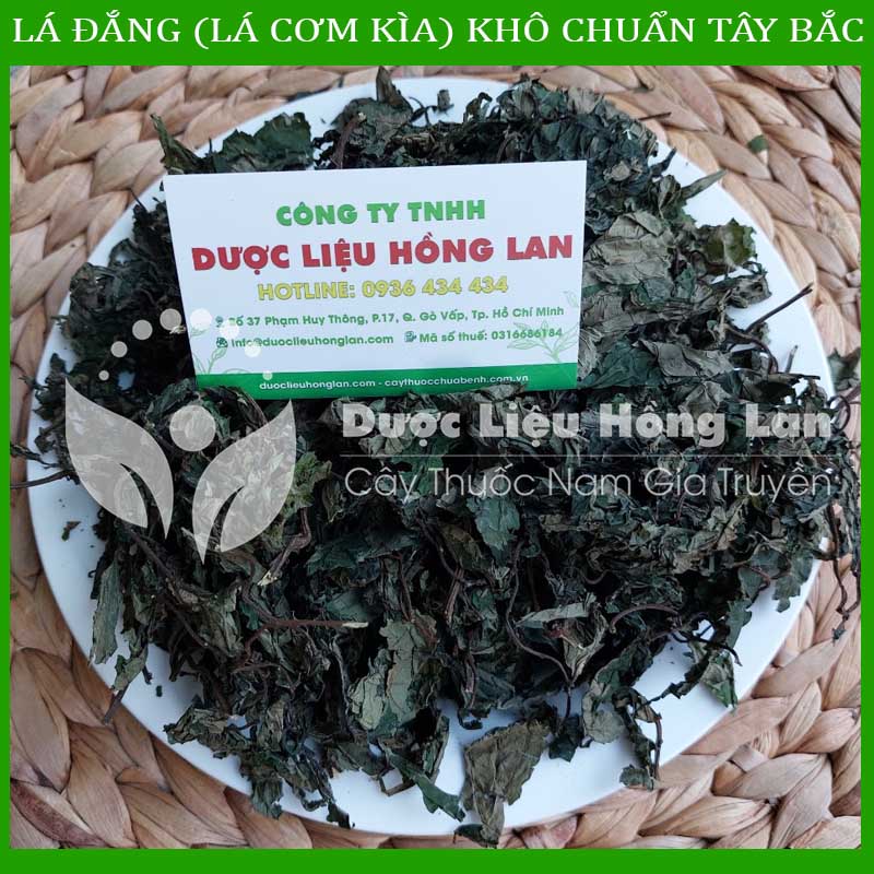 ✅ 500g lá đắng khô chuẩn rừng tây bắc