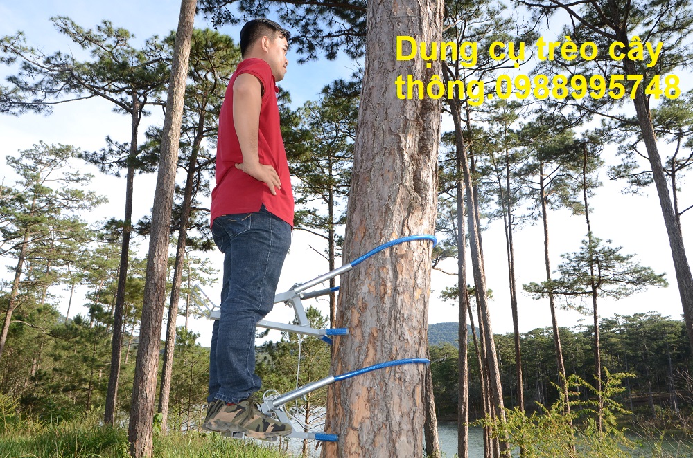 DỤNG CỤ LEO CÂY THÔNG, LEO CAU VUA